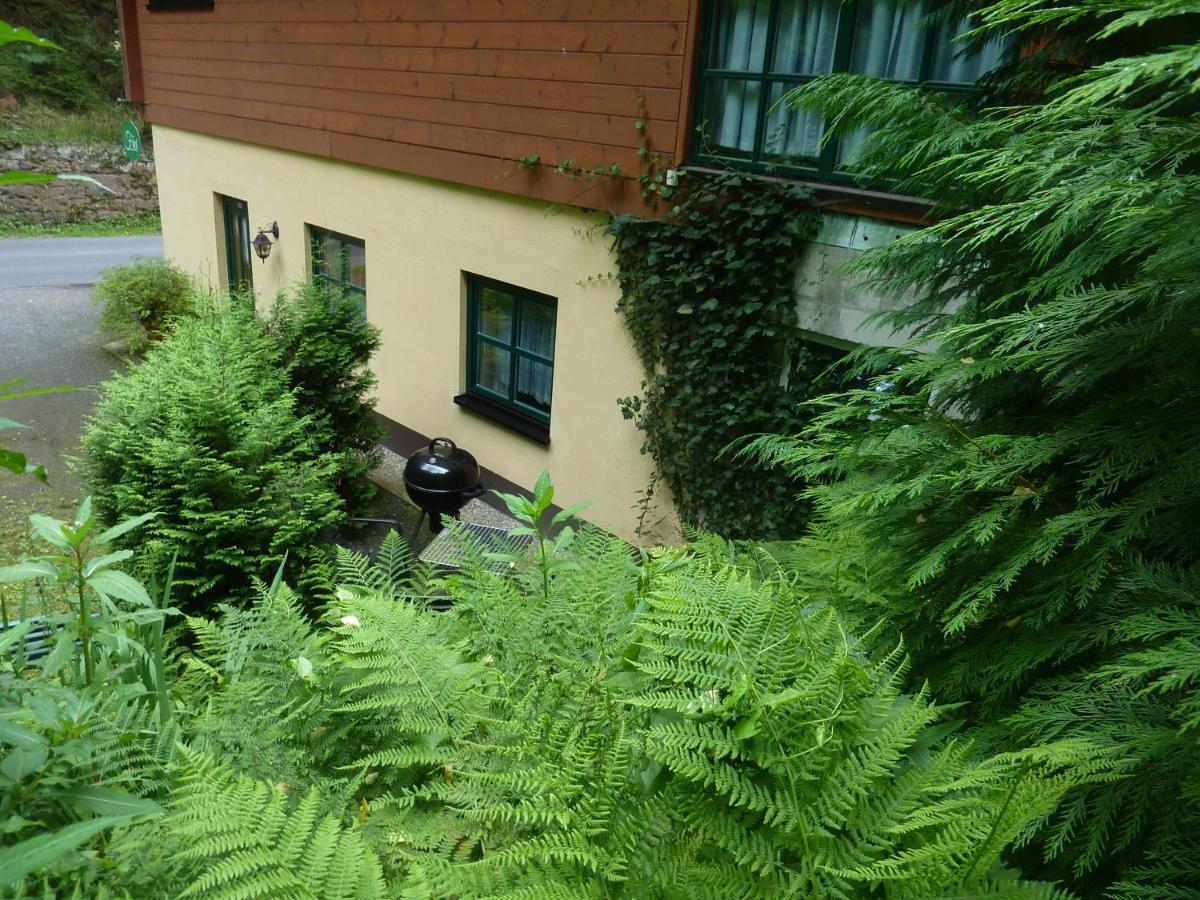 Ferienwohnung Uhu Neben Der Schrammsteinbaude Bad Schandau Buitenkant foto